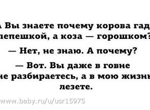 f9VGIkKlz2w
