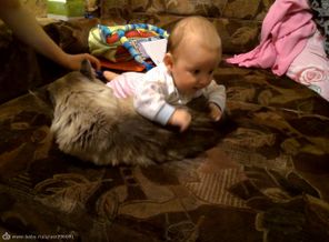 мягкая и тёплая котогрелка