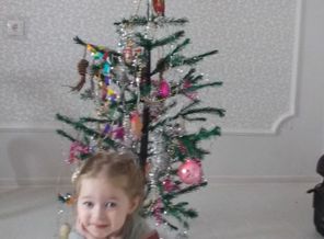 DSCN0211