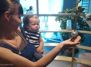 Годовасие_кормим попугайчиков