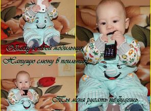 6 мес