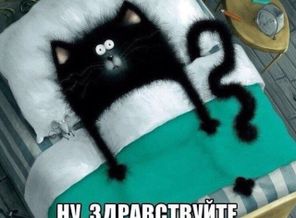 PREGGIE_20150701_060859