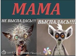 правда жизни