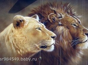 IMG_20140829_194011_89