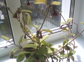 IMG_20130706_121026