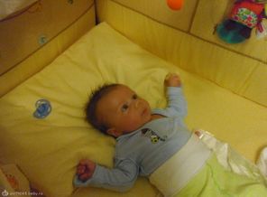 SAM_0828