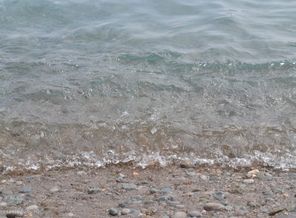 DSC_0165