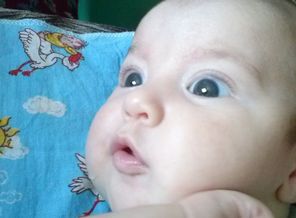 CAM00659