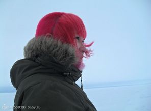 Жвачка