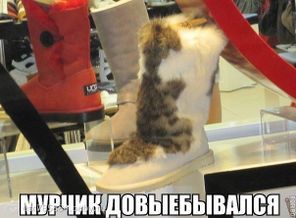 getImage (6)