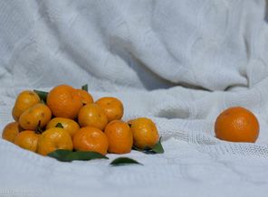 DSC_5152