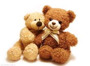 1TeddyBear-3