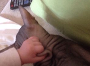 image1401604559.758877