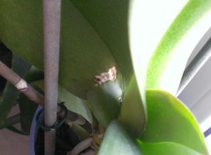 WP_20150417_005