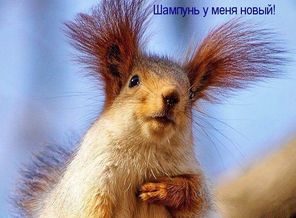 ну тут все сказано