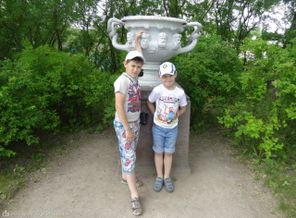 DSC02954