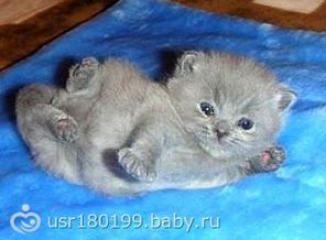 Kurochkina_36