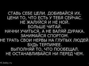 1282619_30230-550x500