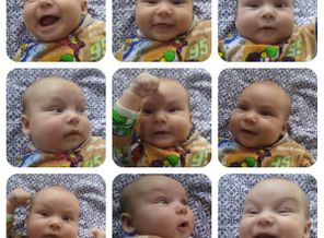 collage