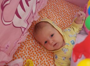 SAM_0498