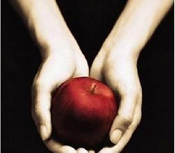 250px-Twilightbook