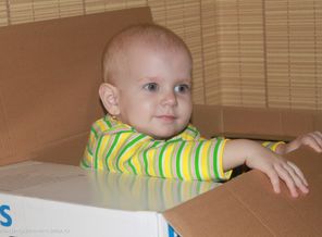 IMG_1175