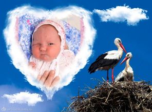 День когда семье родной Бог тебя послал ***