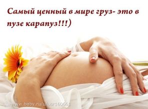 vuSSywVBsnM