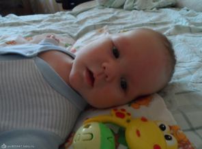 SAM_2087