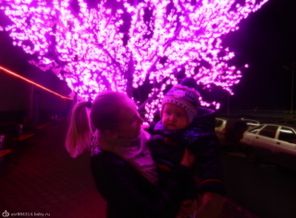 DSCN1232