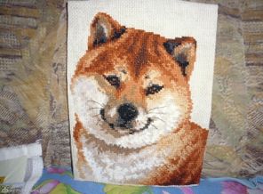 Китайская лайка