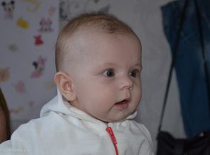 DSC_0336