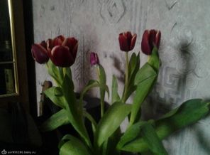 20140306_102725