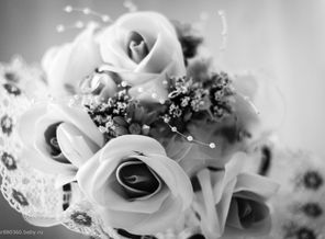 Фото_001