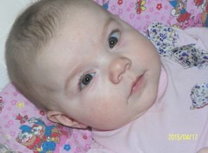 SAM_0082