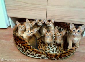 Смотрим в кадр)
