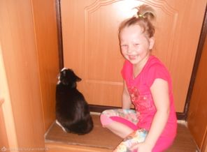 Наказала кошку)))