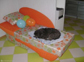 Наш пёсик.