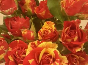 20150323_191040