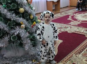 Далматинчик)))