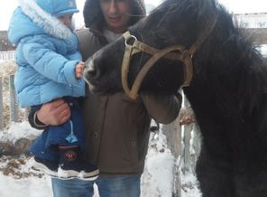 Я ЛЮБЛЮ СВОЮ ЛОШАДКУ...