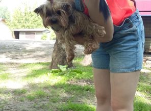 20150524_120826