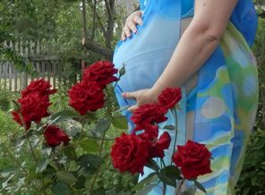 моя пузичка в 37 недель