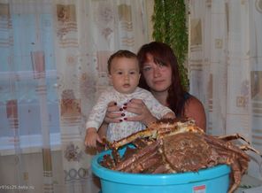 Море,солнце,крабы!