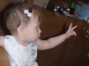 DSCF3984