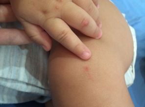 image1403420175.102894