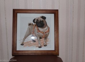 IMG_0458