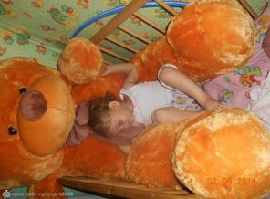 С таким мишкой,сон спокоен,с ним не страшно не чего