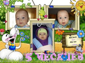 5 мес