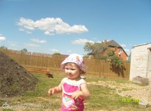 image (2)